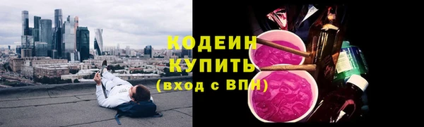 мдпв Бородино