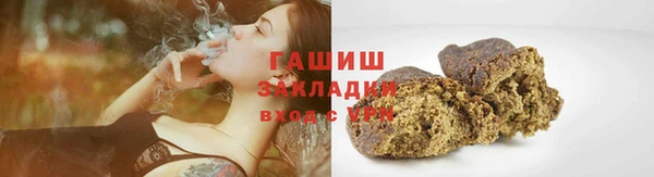 мдпв Бородино