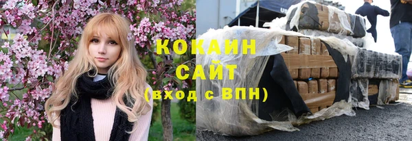 мдпв Бородино