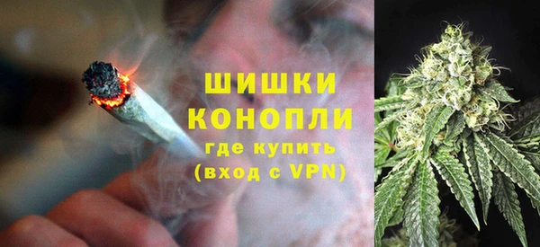 мдпв Бородино