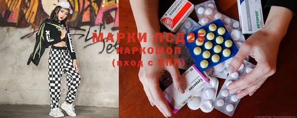 мдпв Бородино