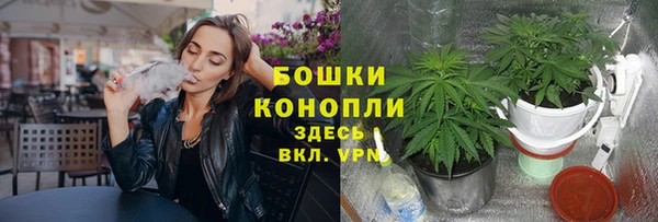 мдпв Бородино