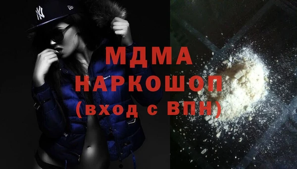 мдпв Бородино