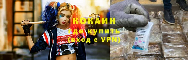 мдпв Бородино