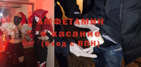 мдпв Бородино