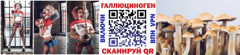 ссылка на мегу ONION Шацк Псилоцибиновые грибы Cubensis