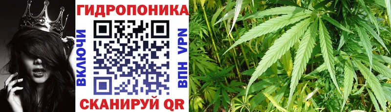 Шишки марихуана AK-47  даркнет сайт  hydra   Шацк 